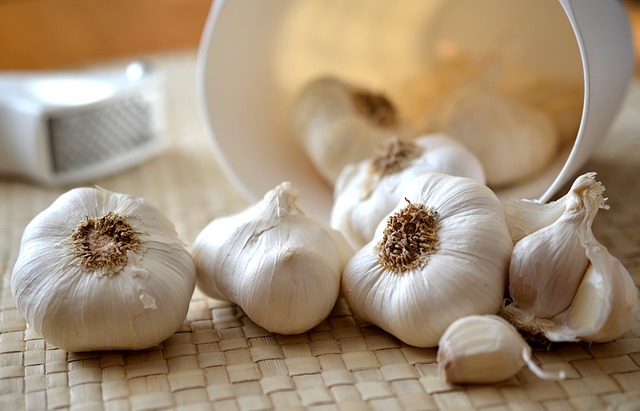 Garlic 545223 6401