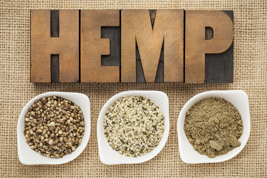Hemp: The Miracle Superfood Youre Not Eating