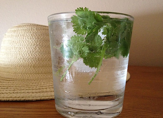 Why I Use Cilantro In My Water Daily 
