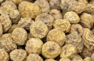 The Magic Tigernuts: Help fight bad bacteria in your body and fight diseases
