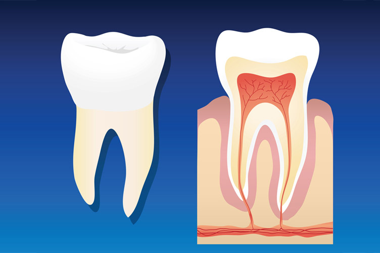 How Root Canals Severely Affect Your Health
