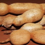 The Fruit that helps to remove fluoride from your body, curbs appetite, promotes proper digestion and fights cancer.
