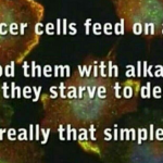 Cancer cells thrive in acidity. Restore the Body’s pH levels with Just One Superfood